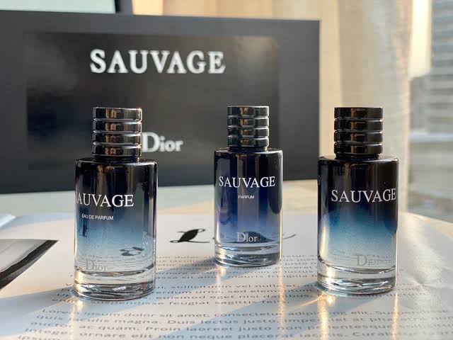 Dior sauvage perfume gift set