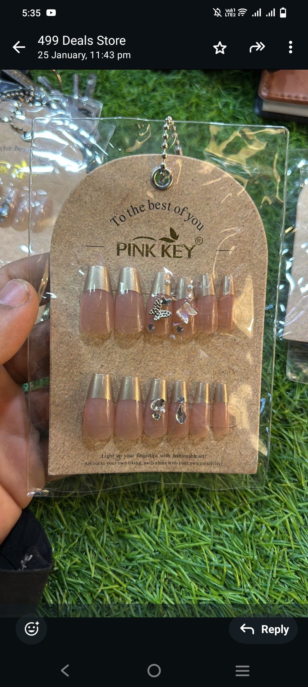 Fake fancy stylish  nails