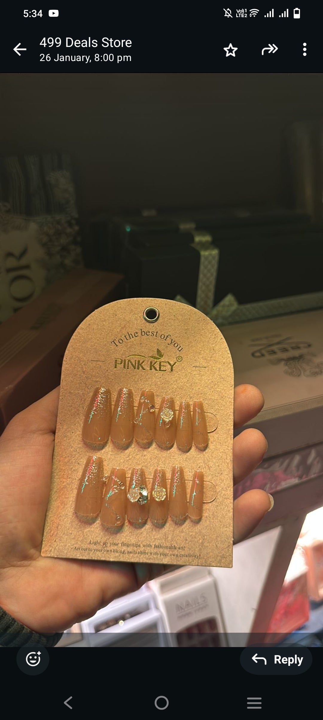 Fake fancy stylish  nails